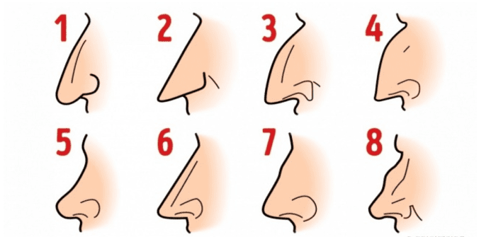 What kind of nose do you have? This is what it says about your personality!